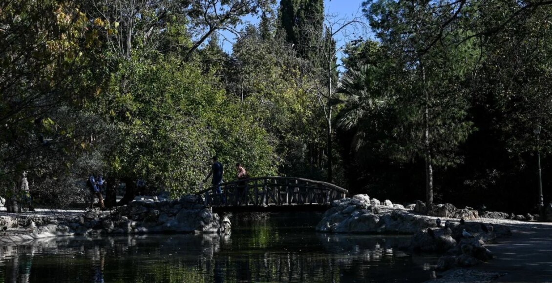 Τρόμος-στον-Εθνικό-Κήπο:-Τον-χτύπησαν-στο-κεφάλι-για-ένα-κινητό