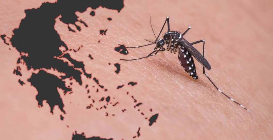 Ιός-του-Δυτικού-Νείλου:-Οκτώ-θάνατοι-και-22-κρούσματα-την-τελευταία-εβδομάδα