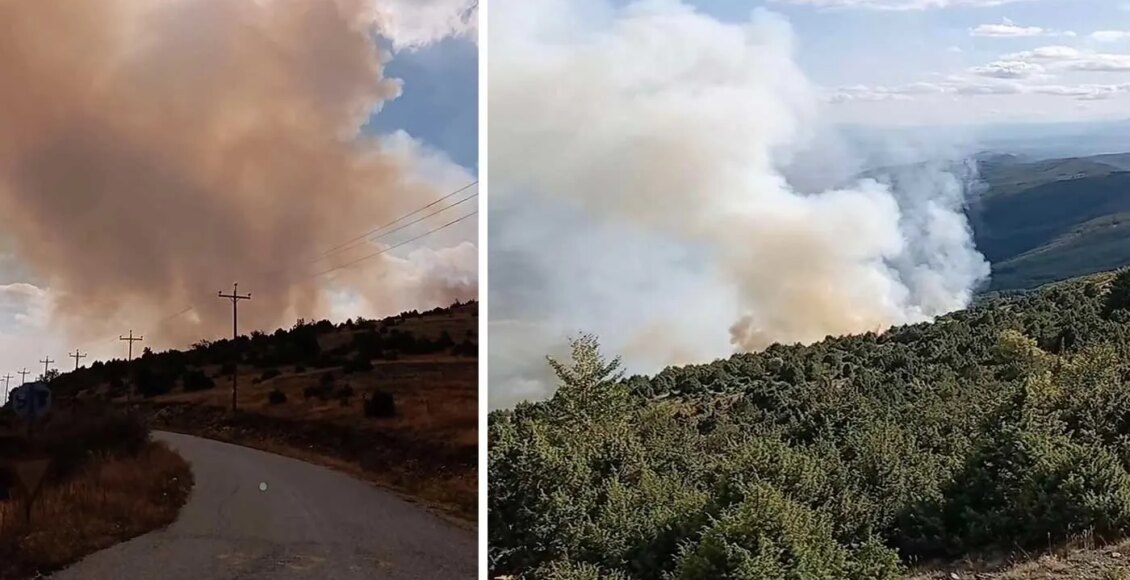 Μαίνεται-η-πυρκαγιά-στην-Βλάστη-Εορδαίας-–-Κινητοποίηση-της-πυροσβεστικής