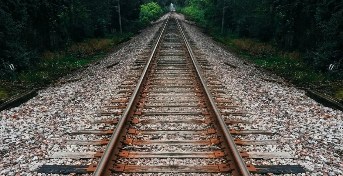 Τρένο-προσέκρουσε-σε-πεσμένα-δέντρα-μεταξύ-των-σταθμών-Σφενδάλης-και-Αφιδνών