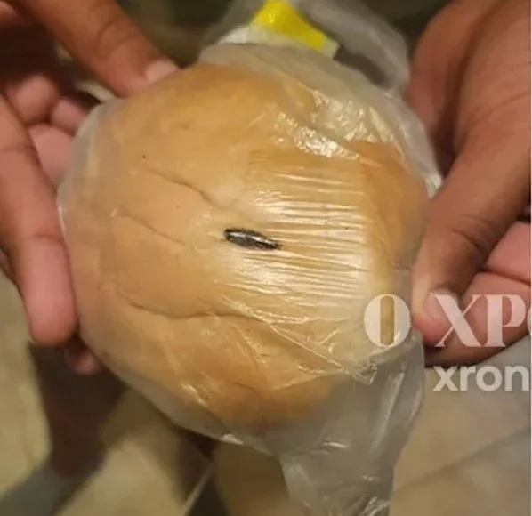 Μαθήτρια-στην-Κομοτηνή-βρήκε-κατσαρίδα-στο-σχολικό-της-γεύμα-–-Εικόνες-ντροπής