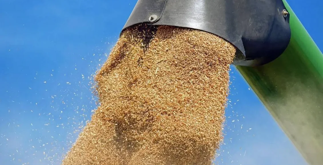 bild:-Το-φθηνό-ουκρανικό-σιτάρι-καταστρέφει-τους-Γερμανούς-αγρότες