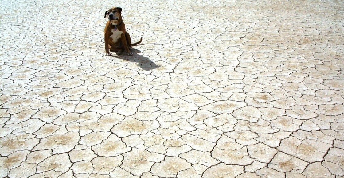 Περιβαλλοντικά-Νέα:-unicef:-Ακραία-ξηρασία-πλήττει-πάνω-από-420.000-παιδιά-στον-Αμαζόνιο…(6:50-–-Β’-πρωϊνή-Ζώνη-6:45-7:00)