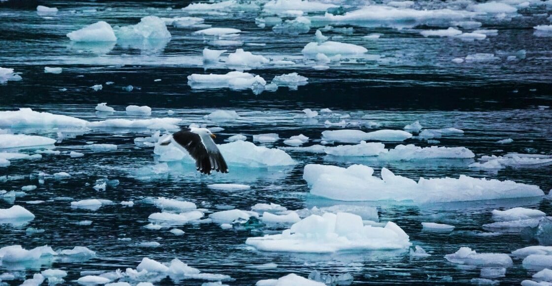 Περιβαλλοντικά-Νέα:-Από-το-1700-μέχρι-σήμερα-η-ανθρωπότητα-έχει-θερμάνει-τον-πλανήτη-κατά-1,5°c…(6:55-–-Β’-πρωϊνή-Ζώνη-6:45-7:15)