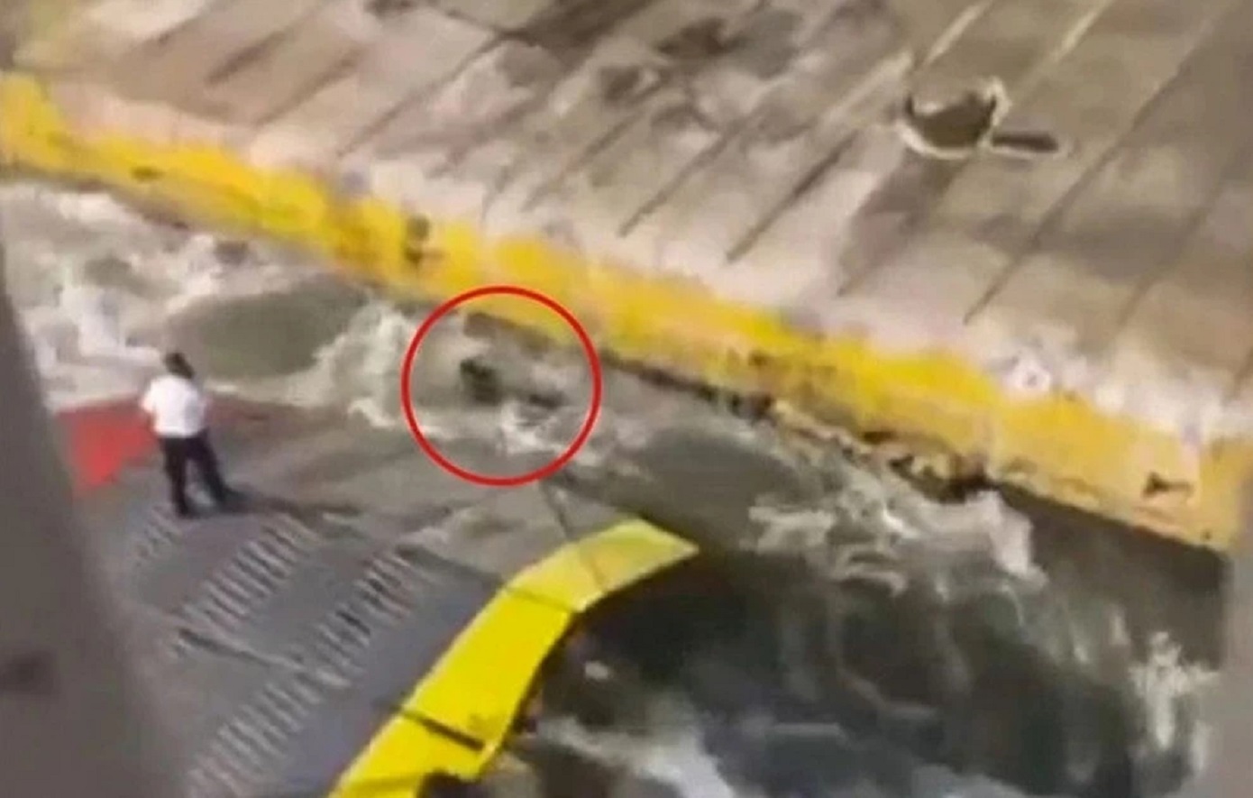 «Ξέρω-ότι-δεν-βγαίνει-κανείς-ζωντανός-από-αυτά-τα-νερά»,-κατέθεσε-ο-ύπαρχος-που-έσπρωξε-τον-Αντώνη-Καργιώτη-από-το-πλοίο