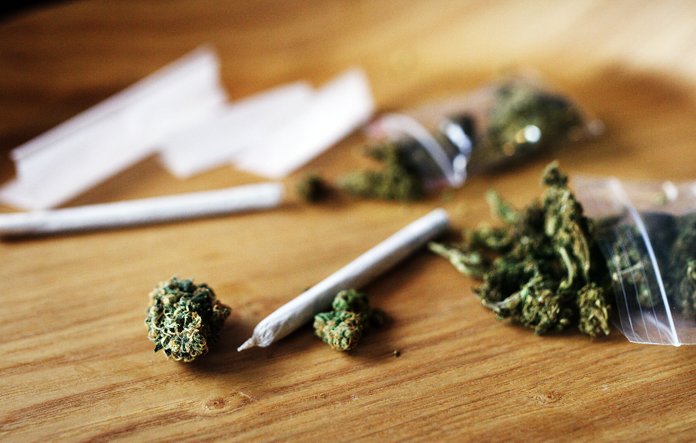 Η-laika-εντόπισε-152-γραμμάρια-κάνναβης-σε-οικισμό-της-Ξάνθης