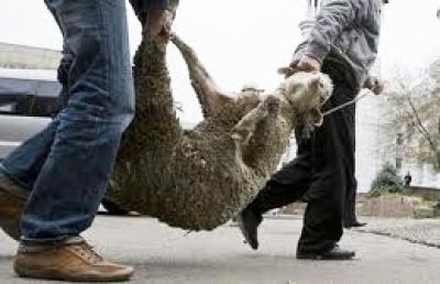 Δύο-ζωοκλοπές-εξιχνιάστηκαν-στα-Χανιά-–-Βρέθηκαν-κρέατα-και-κουδούνια-στην-οικία-του-υπόπτου