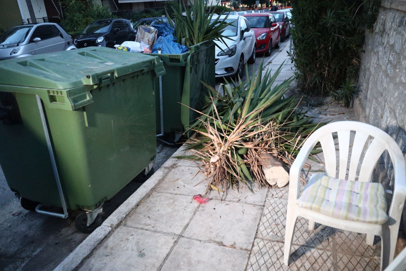 Θρίλερ-με-βρέφος-σε-κάδο-απορριμμάτων-στον-Άλιμο:-Τι-εξετάζει-η-ΕΛΑΣ.-για-τη-μαρτυρία-της-γιαγιάς