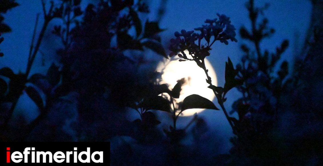 Αυγουστιάτικη-πανσέληνος-με-μουσικές-εκδηλώσεις-σε-επιλεγμένους-αρχαιολογικούς-χώρους-στην-Χαλκιδική