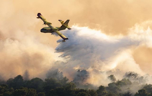 Προφυλακιστέος-ο-57χρονος-κατηγορούμενος-για-7-πυρκαγιές-στη-Δυτική-Λέσβο