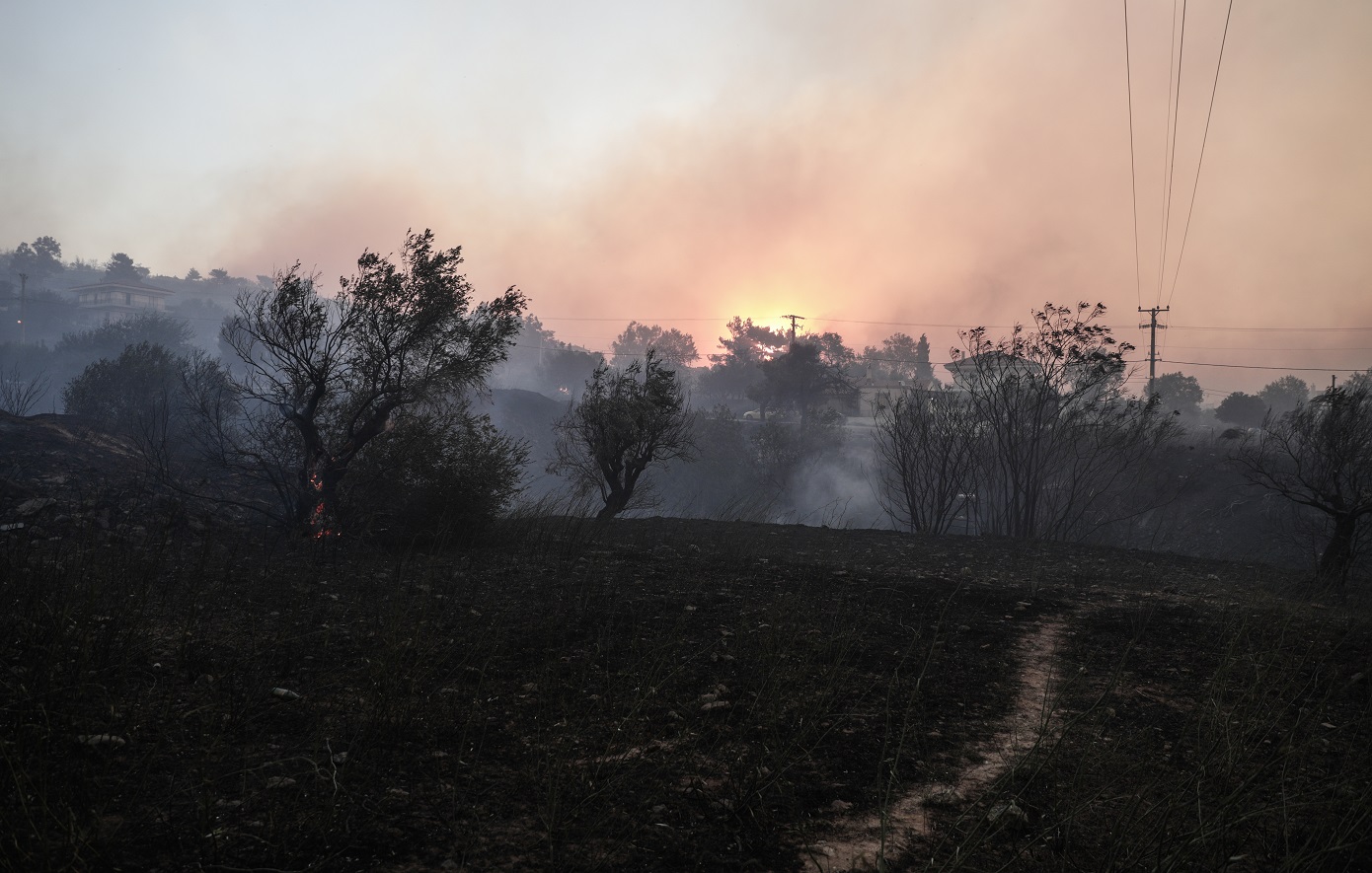 Για-κακούργημα-κατηγορείται-ο-δημοτικός-υπάλληλος-που-συνελήφθη-για-εμπρησμούς-στην-Παλλήνη