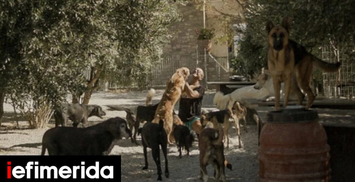 Η-συγκινητική-ιστορία-του-takis-shelter-και-του-ιδρυτή-του,-Τάκη-Προεστάκη-έγινε-ντοκιμαντέρ