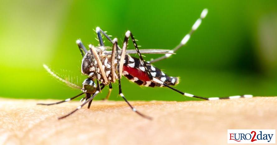 ΕΟΔΥ:-Επτά-νέοι-θάνατοι-από-ιό-του-Δυτικού-Νείλου-σε-μία-εβδομάδα