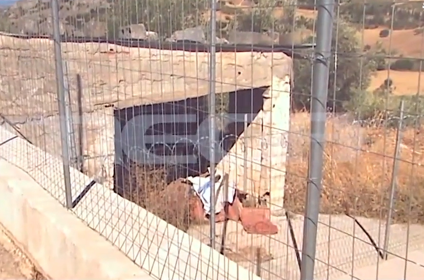 «Είχα-οικονομικά-προβλήματα-για-αυτό-απέκρυψα-τον-θάνατό-της»-–-Το-σημείο-που-είχε-θάψει-τη-μητέρα-της-η-62χρονη-στη-Βοιωτία