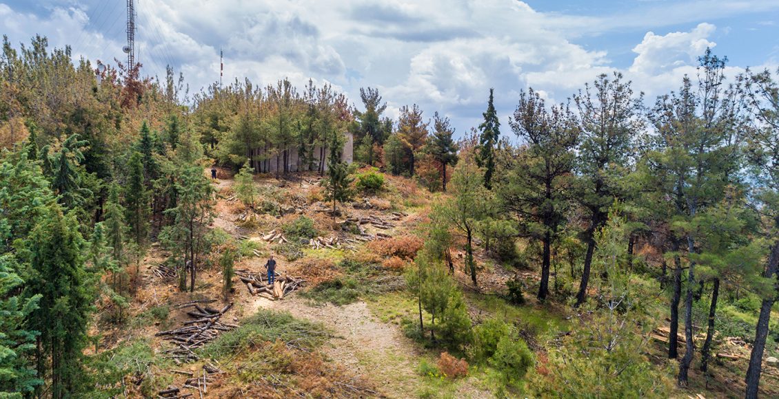 Έσφαξε-αρνί-στο-Σέιχ-Σου-για-να-τιμήσει-το-κουρμπάνι-–-Κακουργηματική-δίωξη-σε-51χρονο