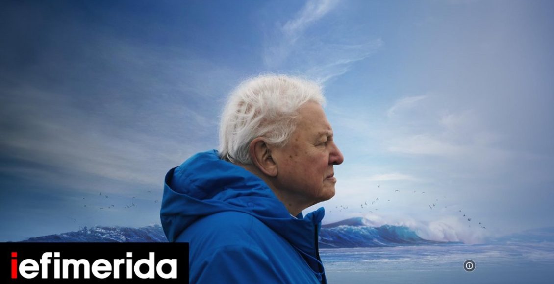 «ocean-with-attenborough»:-Η-ταινία-του-κορυφαίου-περιβαλλοντολόγου-που-θα-παρακολουθήσει-απόψε-ο-Κ.-Μητσοτάκης-[τρέιλερ]