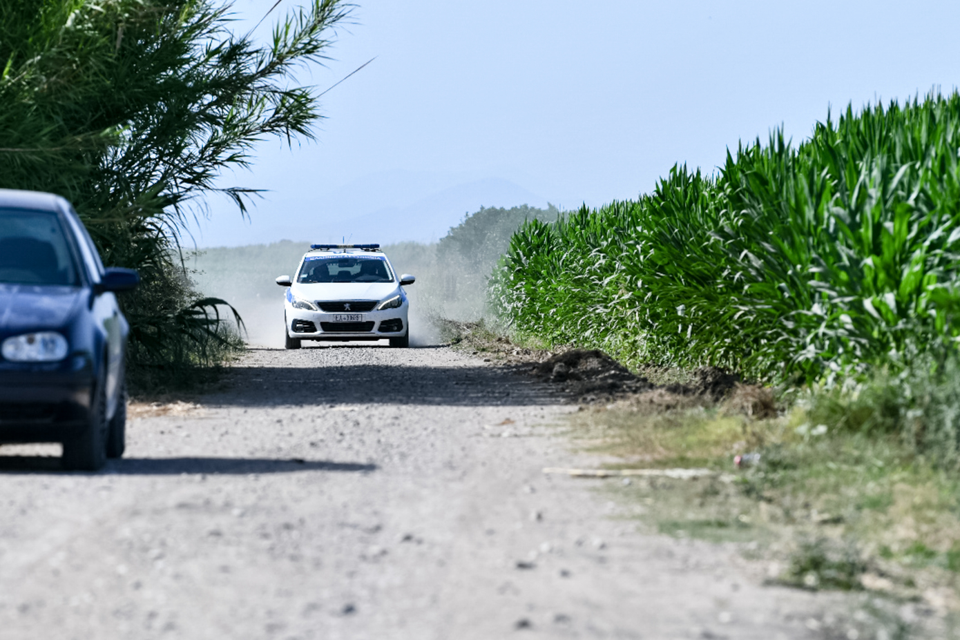 Μεγάλη-επιχείρηση-του-ελληνικού-fbi-για-κύκλωμα-οικονομικής-και-εργασιακής-εκμετάλλευσης-αλλοδαπών-–-170-προσαγωγές