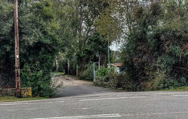 Δολοφονία-στη-Μεσσηνία:-Ο-δράστης-προσπέρασε-αρχικά-τον-επιστάτη-–-Για-ποιον-προοριζόταν-η-τρίτη-σφαίρα-που-δεν-βρήκε-στόχο