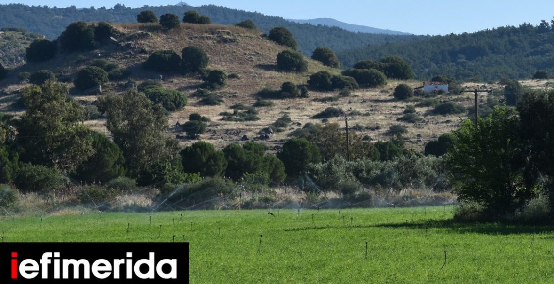 aρχαία-Αρίσβη:-Ανασκαφή-και-ανάδειξη-της-ξεχασμένης-αρχαίας-πόλης-κράτους-της-Λέσβου-Ορατά-τα-ερείπιά-της