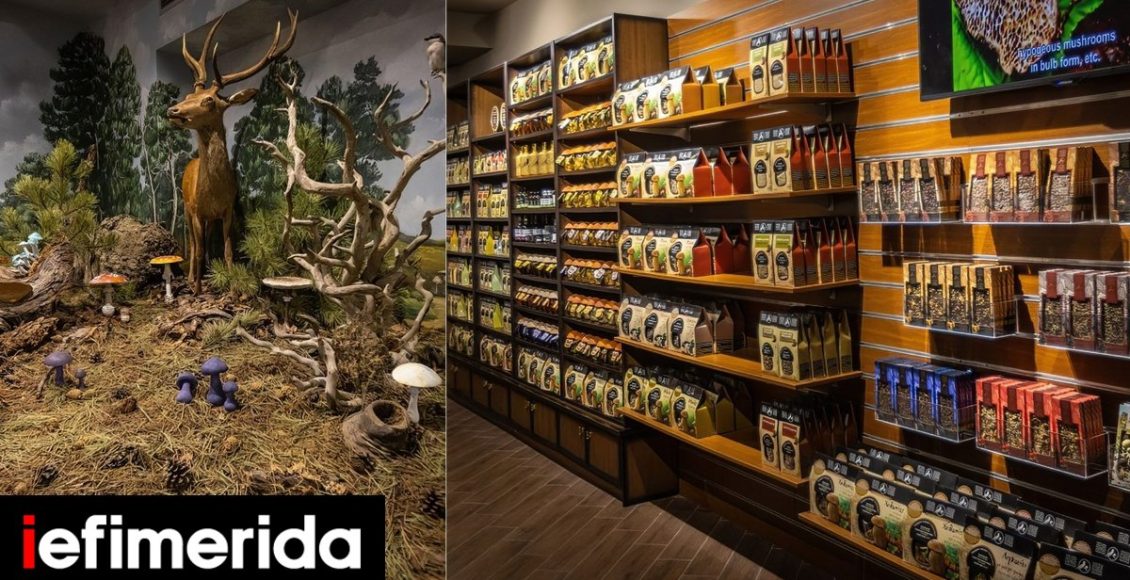 Το-ελληνικό-μουσείο-που-σπάσει-το-ένα-ρεκόρ-μετά-το-άλλο-Έχει-αποσπάσει-100+-βραβεία-σε-μόλις-10-χρόνια!