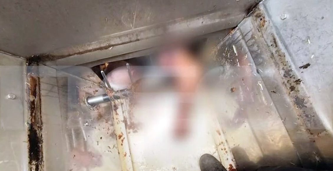 Σοβαρός-τραυματισμός-εργαζόμενου-που-εγκλωβίστηκε-σε-μηχάνημα-διαλογής-σταφίδας-στο-Ηράκλειο-Κρήτης