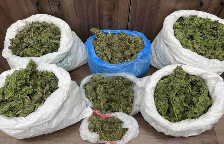 Τέσσερις-συλλήψεις-στο-Ρέθυμνο-για-ναρκωτικά-και-δενδρύλλια-κάνναβης-–-Μεταξύ-τους-και-ένας-ανήλικος