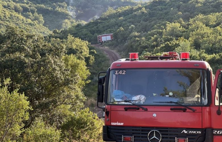 Φωτιά-σε-χορτολιβαδική-έκταση-στα-Ανώγεια-Ρεθύμνου