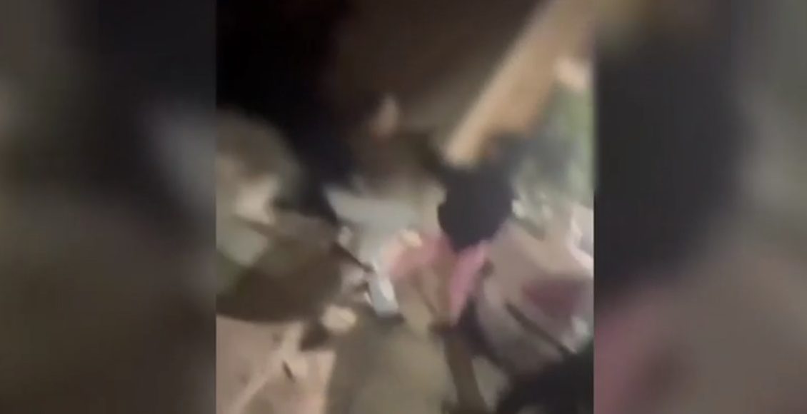 «Την-κλωτσούσαν,-την-έφτυσαν»-–-Βίντεο-σοκ-με-τον-ξυλοδαρμό-13χρονης-από-συνομήλική-της-για-ένα-αγόρι