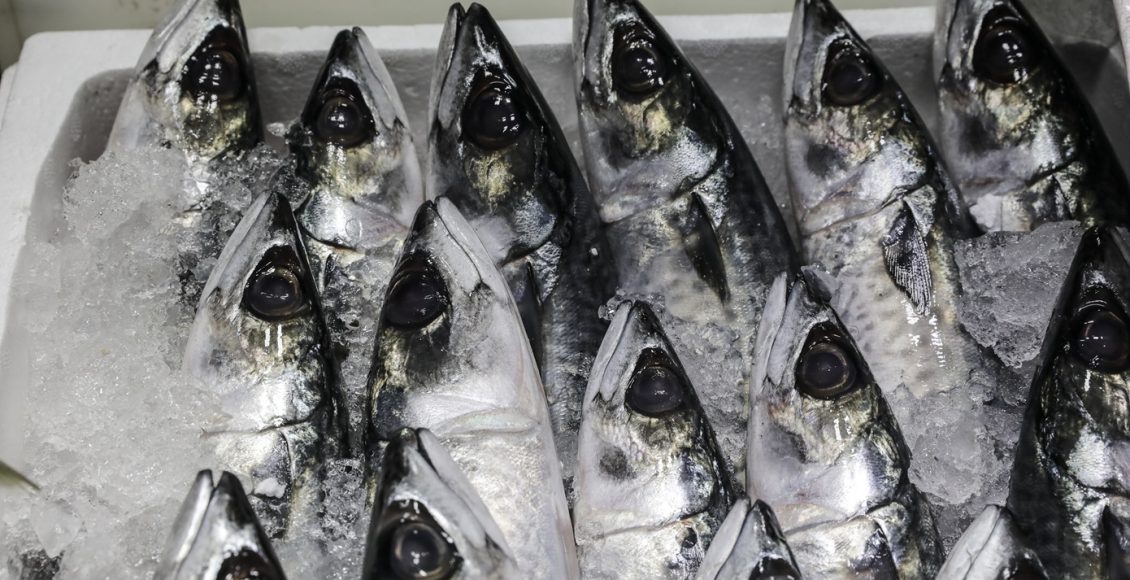 Επιχείρηση-για-την-καταπολέμηση-του-παρεμπορίου-στις-παρυφές-λαϊκών-αγορών-του-Πειραιά-–-Κατασχέθηκαν-ποσότητες-ψαριών