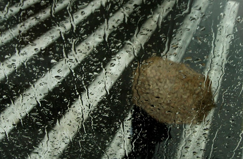 Καιρός:-Πού-αναμένονται-βροχές-και-καταιγίδες