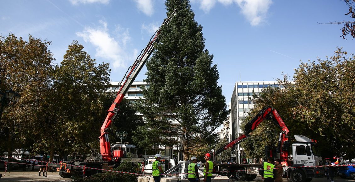 Η-Αθήνα-και-η-Θεσσαλονίκη-βάζουν-τα-γιορτινά-τους-–-Στήθηκαν-τα-χριστουγεννιάτικα-δέντρα-σε-Σύνταγμα-και-πλατεία-Αριστοτέλους