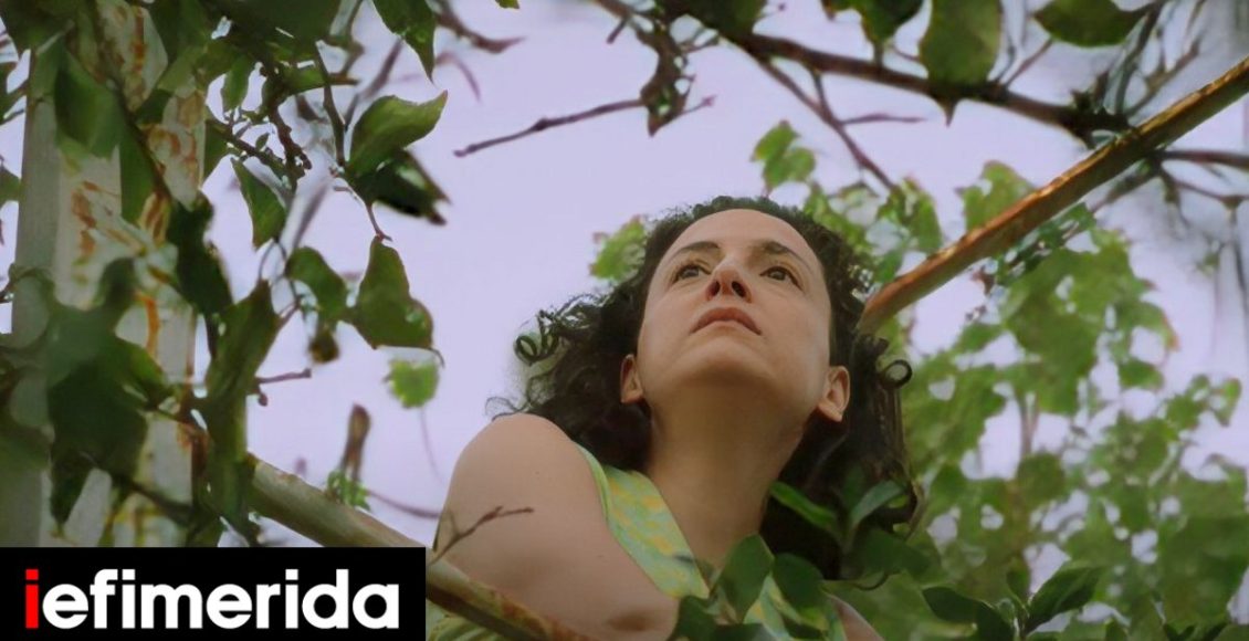 Παγκόσμια-ημέρα-εξάλειψης-της-βίας-κατά-των-γυναικών-Η-δημιουργός-της-ταινίας-«Πορφυρή-Λεμονιά»-στο-iefimerida.gr