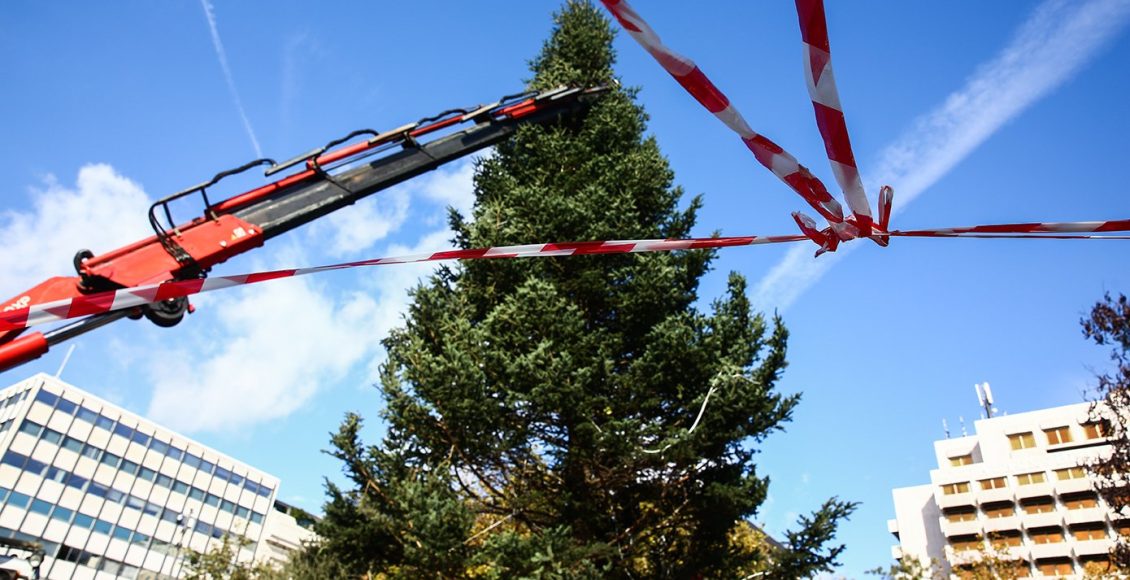 Η-Αθήνα-ανάβει-αύριο-το-χριστουγεννιάτικο-δέντρο-της