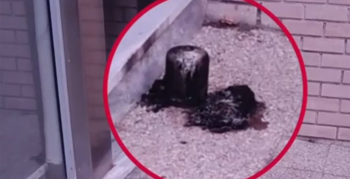 Οι-«Πυρήνες-Άμεσης-Δράσης»-ανέλαβαν-την-εμπρηστική-επίθεση-στα-γραφεία-του-σάιτ-της-«Ομάδας-Αλήθειας»