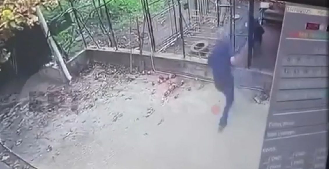 Πώς-έγινε-η-άγρια-επίθεση-του-ροτβάιλερ-στον-76χρονο-στην-Καλαμάτα-–-Μάχη-επί-μία-ώρα-για-να-τον-σώσουν-από-το-δόντια-του