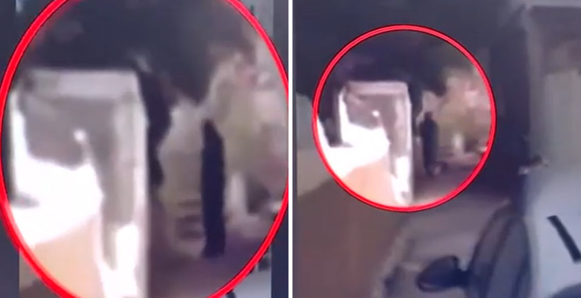 Μακελειό-στα-Βορίζια:-Ποιος-είναι-ο-«ποντικός»,-ο-ξάδερφος-του-43χρονου-γαμπρού-του-Καργάκη-που-συνελήφθη