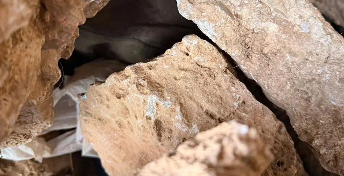 Τι-έχει-βρει-η-ΕΛΑΣ.-στα-Βορίζια-μετά-το-αιματοκύλισμα,-δείτε-φωτογραφίες-–-9-συλλήψεις,-όπλα-και-πυρομαχικά,-έφοδοι-σε-σπίτια-και-στάβλους