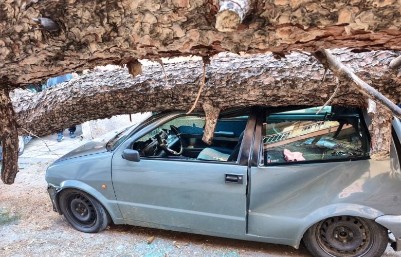 Πτώση-μεγάλου-δένδρου-στην-Θεσσαλονίκη-προκάλεσε-ζημιές-σε-αυτοκίνητα-στη-Χαριλάου