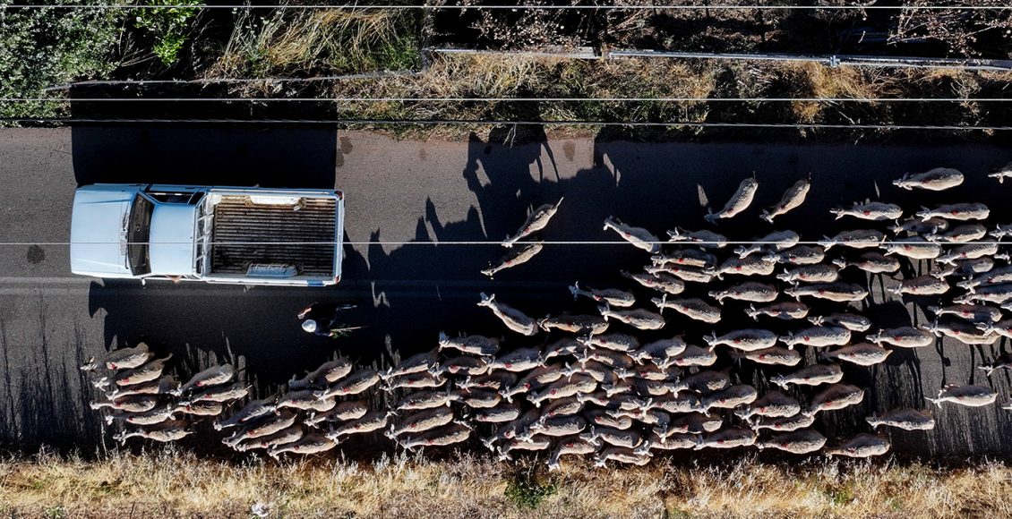 Ο-αρχηγός-αγροτοσυνδικαλιστής,-ο-λογιστής-και-η-δικηγόρος-που-συνελήφθησαν-στην-Κρήτη-για-τον-ΟΠΕΚΕΠΕ-–-Στο-Ηράκλειο-η-«έδρα»-τους