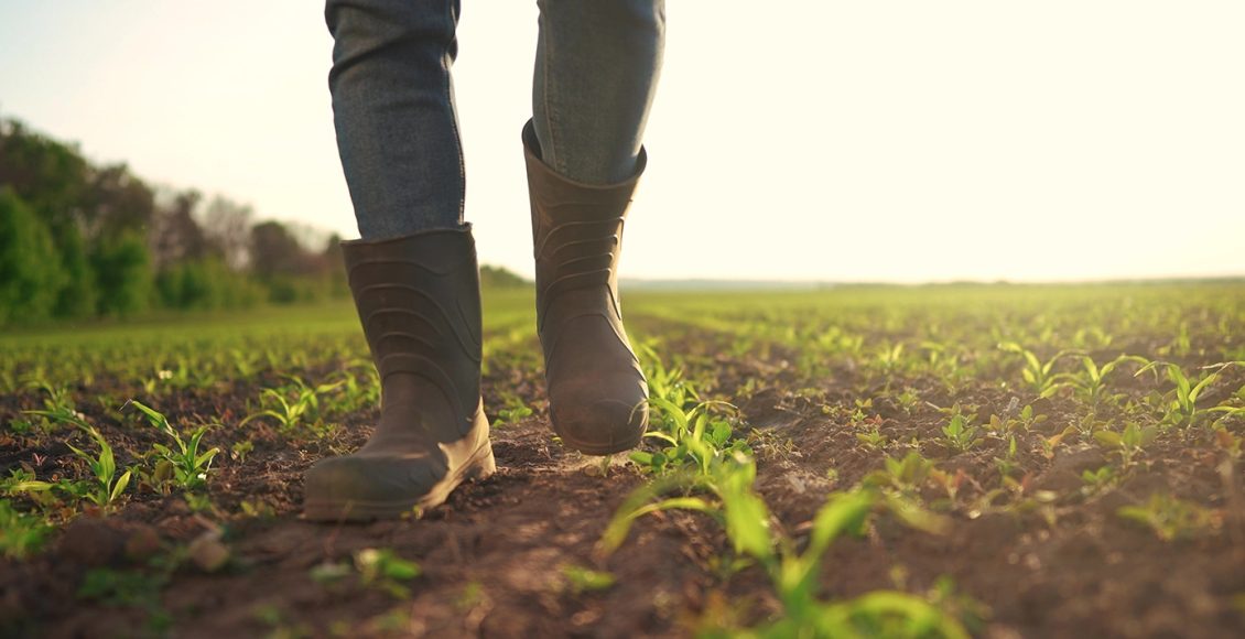 Ο-αγροτοσυνδικαλιστής,-ο-λογιστής-και-η-σύζυγος:-Ποιοι-συνελήφθησαν-για-τον-ΟΠΕΚΕΠΕ-–-Κυνηγούσαν-ακόμη-τις-επιδοτήσεις