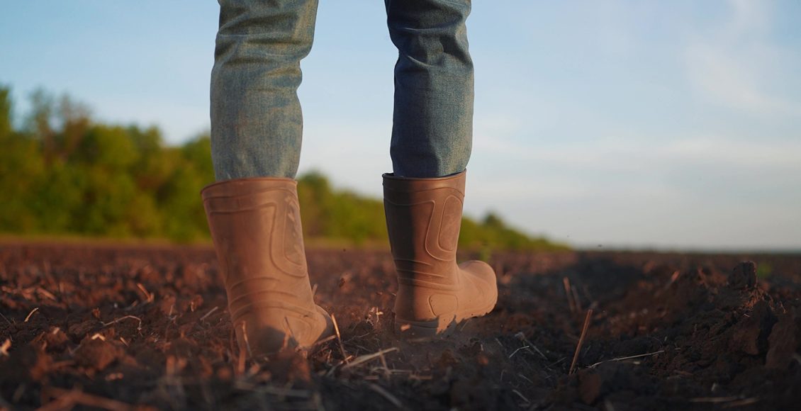 Πώς-έστησαν-την-κομπίνα-με-τις-επιδοτήσεις-του-ΟΠΕΚΕΠΕ-ο-αγροτοσυνδικαλιστής,-ο-λογιστής-και-η-δικηγόρος