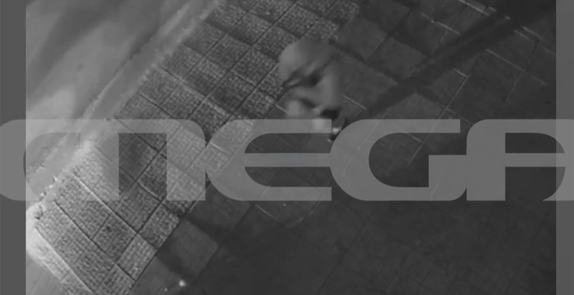 Βίντεο-–-Ντοκουμέντο:-Έτσι-ακινητοποίησαν-οι-αστυνομικοί-τον-γιο-του-Μιχάλη-Κατρίνη-στο-Χαλάνδρι