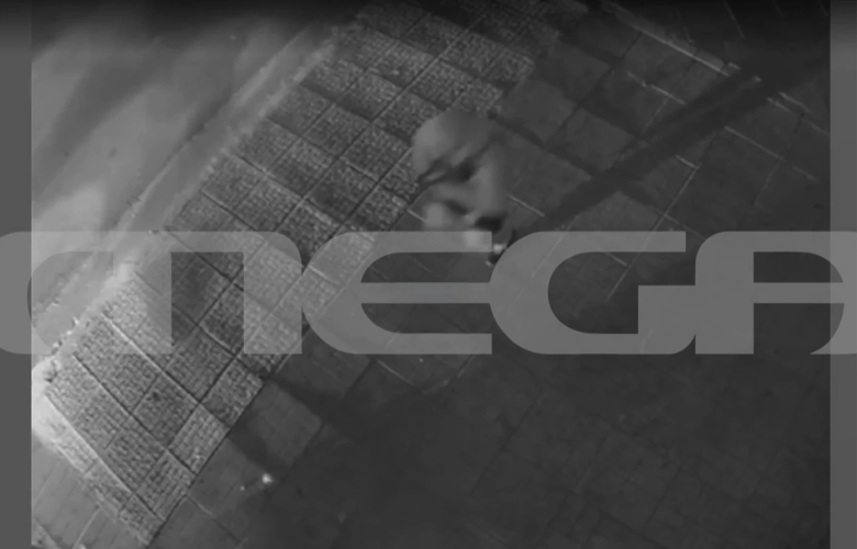 Βίντεο-ντοκουμέντο-από-την-ακινητοποίηση-του-οχήματος-του-γιου-του-Μιχάλη-Κατρίνη-από-αστυνομικούς-στο-Χαλάνδρι