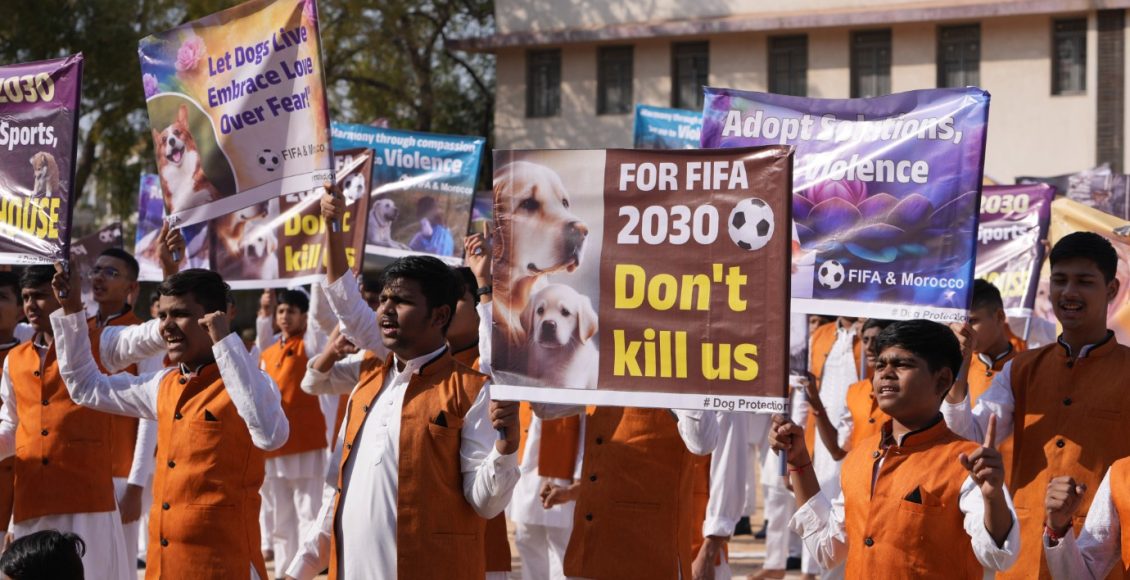 Σοβαρές-καταγγελίες-κατά-του-Μαρόκου-για-εξόντωση-αδέσποτων-λίγο-πριν-το-copa-africa