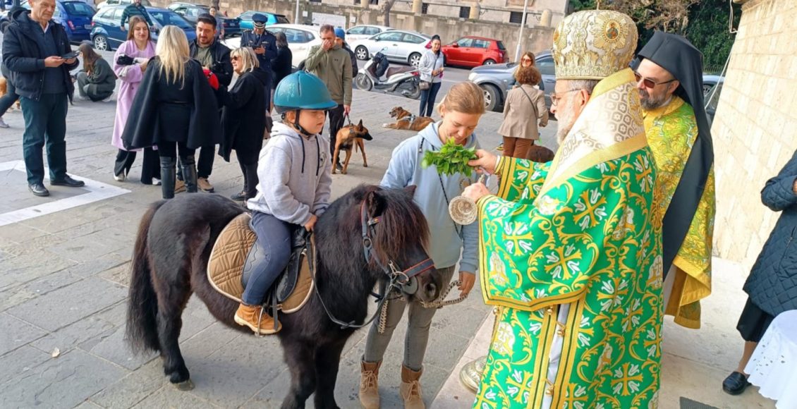 Εορτή-Αγίου-Μοδέστου-στη-Ρόδο-–-Πιστοί-προσήλθαν-στον-Αγιασμό-με-τα-ζώα-τους