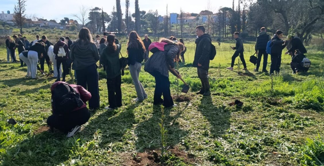 Δενδροφύτευση-στην-πυρόπληκτη-περιοχή-της-Ιεράς-Μονής-Πεντέλης-από-μαθητές