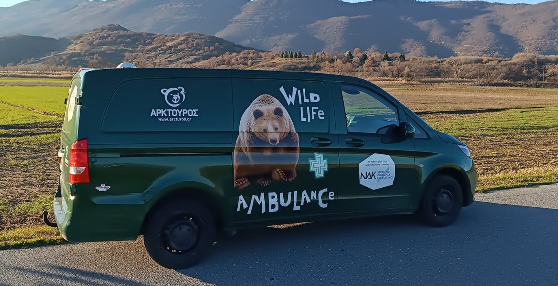 Το-πρώτο-ασθενοφόρο-άγριων-θηλαστικών-στην-Ελλάδα-απέκτησε-ο-Αρκτούρος