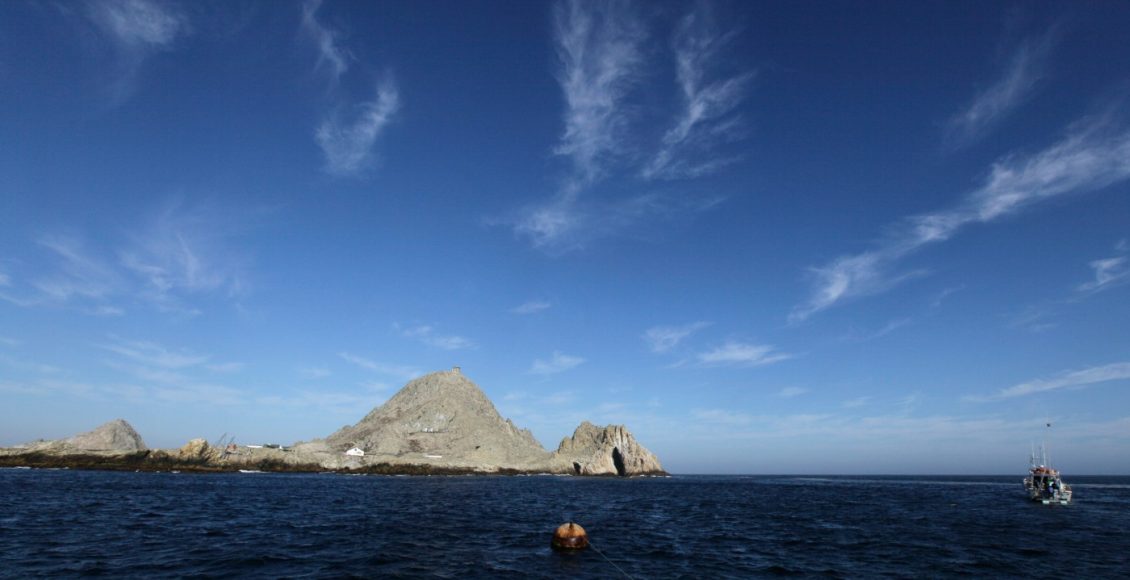 Νεκρή-η-τριαθλήτρια-Έρικα-Φοξ-μετά-από-επίθεση-καρχαρία-στην-Καλιφόρνια