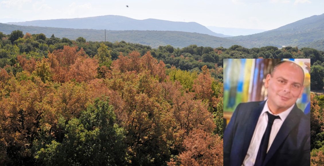 «Ήταν-ημίγυμνος,-φορούσε-μποξεράκι-και-κάλτσες.-Είχε-κόψει-τις-φλέβες-του»:-Τραγωδία-με-νεκρό-πυροσβέστη-στο-όρος-Μπέλλες