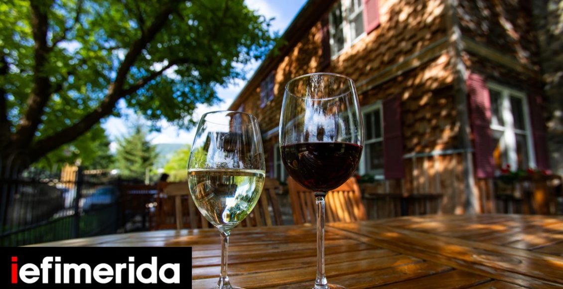 70-μικρά-οινοποιεία-με-«μεγάλα»-κρασιά:-Οικογενειακές-επιχειρήσεις,-εξαιρετική-πρώτη-ύλη-Ετικέτες-αποκάλυψη